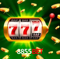 Promoções Sazonais 8855bet